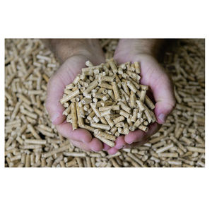 Biomasse industrielle de bois de pin de haute qualité pour la production d'énergie, chaudières à vapeur commerciales et installations renouvelables à grande échelle - Product Image 2