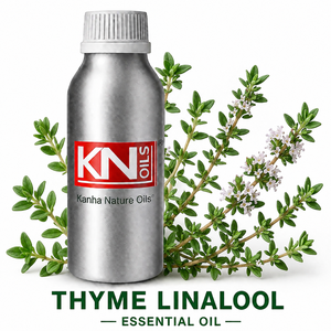Huile Essentielle de Thym Linalol 100% Pure de Qualité Supérieure, Certifiée Biologique, Thymus vulgaris ct linalool, Fabricant en Gros, Exportateur Mondial - Product Image 1
