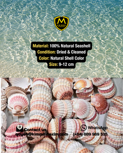 Coquilles de palourde naturelles du Vietnam pour la décoration et l'artisanat, quantité en gros à prix compétitif - Product Image 3