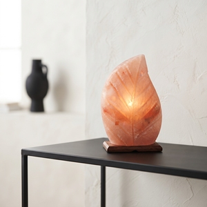 Handmade Himalayan Salt <b>Leaf</b> Shaped Lamp Unique Natural Mineral Accent <b>Light</b> for Living Room Styling Office Decor - Product Image 2