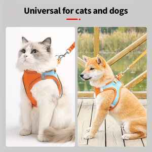 สายรัดสุนัขแบบยุทธวิธีคุณภาพสูง OEM แบบกำหนดเอง กันน้ำ - Product Image 5