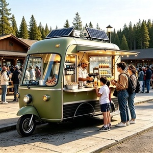 Tricycle électrique pour la vente de nourriture avec vitrine réfrigérée et réfrigérateur homologué CE pour la vente de glaces sur les plages, modèle de luxe - Product Image 2