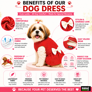 Polka Dot Pet Dress with <b>Bow</b>(S) OEM ODM Custom Logo Soft Cotton Velcro Outfit for <b>Dogs</b> & Cats Direct Manufacturer - Product Image 2