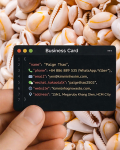 Conchas de Cauri con Anillo Superior (Cypraea sp.) Conchas marinas naturales de Vietnam a granel para manualidades y decoración - Tamaño 1.5-2.5 cm con gran cantidad - Product Image 6