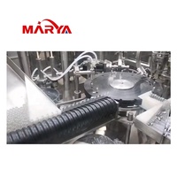 Ligne de machines de remplissage et de bouchage de cartouches entièrement automatique de haute précision Marya avec CIP SIP