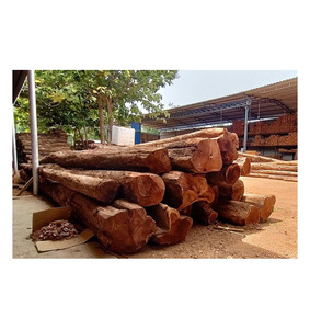 IROKOS <b>WOOD</b> PADOUK, SAWN TIMBER WENGE, DOUSSIE, SAPELLI, AZOBE, ZEBRANO ROUND <b>LOGS</b> AVAILABLE - Product Image 4