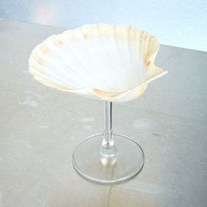 Verres à cocktail en coquillages marins du Vietnam, verres à shot en coquillages marins, articles de bar, cadeau, meilleure réduction - Product Image 2