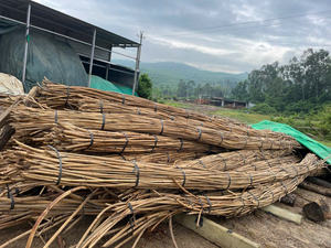 Varas de Ratán Sostenibles para la Producción de Muebles Hechos a Mano - Product Image 2
