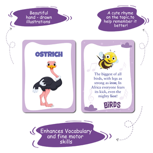 28 Tarjetas Educativas de Doble Cara de Biplob, de la A a la Z, con Imágenes y Rimas de Aves, Tamaño Personalizable, Herramienta de Aprendizaje - Product Image 5