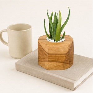 Maceta Hexagonal de Madera Hecha a Mano para Suculentas, Ecológica, Geométrica, de Madera Maciza, para Decoración de Interiores del Hogar y Oficina - Product Image 2