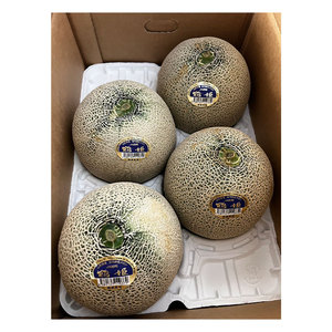 Melón Japonés de Calidad Admirable, Notablemente Fresco, Amplia Selección de Variedades de Pulpa Verde y Roja - Product Image 1