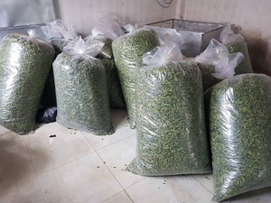 ใบมะกรูดแห้งเกรดอาหารสำหรับปรุงรสแกง ซุป และหมักอาหารทะเล - Product Image 3
