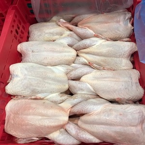 Poulet congelé de haute qualité pour cuisines commerciales et marchés de détail, disponible à prix de gros compétitif - Product Image 5