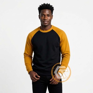Alpha personnalisé |   Sweat-shirt d'hiver pour homme en molleton 100% coton brodé Phi Solid GREEK TREASURES, col rond, coupe classique, OEM - Product Image 4