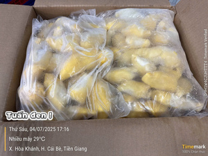 Fruta Tropical Congelada al Vacío, Durian Congelado IQF de Vietnam, Dulce y Natural, para Servicios de Alimentos y Postres, Venta al Por Mayor - Product Image 2