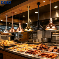 Équipement de cuisine commerciale pour restaurant, lampe chauffante suspendue rétractable de qualité supérieure en acier inoxydable pour maintenir les aliments au chaud