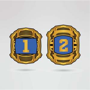 Ceinture de championnat de lutte personnalisée, sangle bleue, plaques métalliques dorées, équipement sportif personnalisé, ceinture de championnat personnalisée, personnalisable - Product Image 4