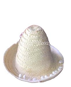 Hot Trending 2025! Natural and Biodegradable Straw <b>Hat</b>/Custom Straws <b>Hat</b> With Logo, Design, Color From Eco2go Vietnam - Product Image 1