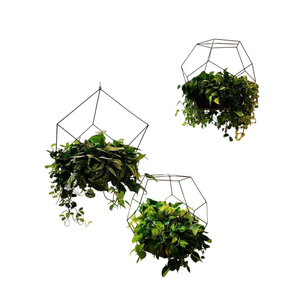 Wholesale Modern Metal Hanging Pots Wall And Planter For Trailing <b>Plants</b> Eco-Friendly Style Decorative Planter For Hot Sale - Product Image 5