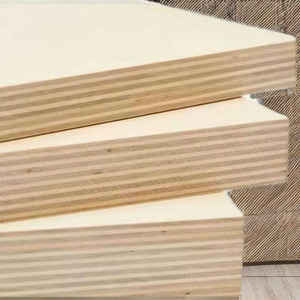 Venta al por mayor de madera contrachapada con revestimiento fenólico de grado DD, material de construcción con chapa de abedul de fábrica vietnamita. - Product Image 2