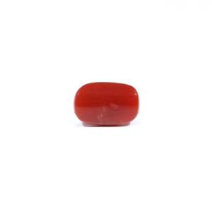 Natural Red Coral Loose Gemstone 3.6 Carat Certified Wholesale - Product Image 2