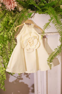 Robe de princesse mignonne à col halter brodée de fleurs pour filles, en gaze à sequins, écologique, pour usage quotidien et fêtes - Product Image 4