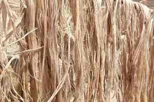 Matériau en Fibre de Banane Pure pour le Renforcement de Meubles, les Métiers à Tisser, les Feuilles d'Emballage et les Industries d'Exportation - Product Image 2