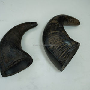 Friandises pour chiens en corne de buffle naturelle, résistantes et saines, de qualité supérieure, longue durée, par NHE Overseas - Product Image 4