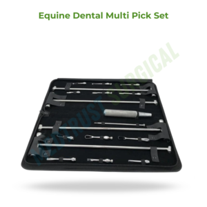 Kit d'instruments dentaires vétérinaires multi-pinces standard pour le nettoyage et l'examen buccal des chevaux - Product Image 2