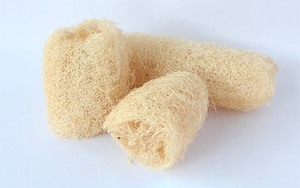 ฟองน้ำใยบวบออร์แกนิคแบบไร้ขยะ สำหรับขัดผิวอาบน้ำ เป็นมิตรต่อสิ่งแวดล้อม ดูแลผิวกาย - Product Image 2