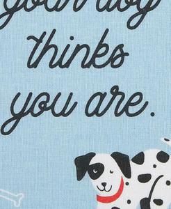 ชุดผ้าเช็ดจานดูดซับสำหรับเก็บในห้องครัวสำหรับสัตว์เลี้ยงในชีวิตประจำวัน18X28 "ตัวสุนัขจำนวน3ชิ้น | การออกแบบนำเข้า - Product Image 6