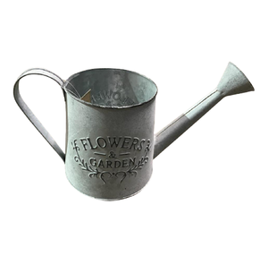 Cannette d'arrosage décorative en acier galvanisé, design vintage moderne, écologique et durable, pour la maison et le jardin - Product Image 2