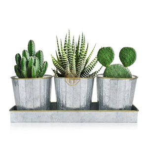 Ensemble de 3 pots à herbes rustiques en métal galvanisé, nervurés, pour plantes d'intérieur, avec plateau de drainage, pour cuisine, rebord de fenêtre, balcon - Product Image 4
