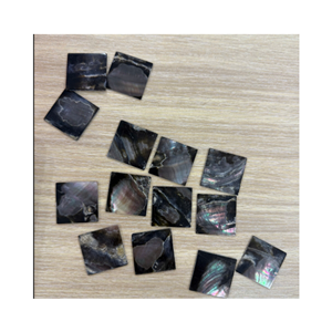 Cuadrados de Concha de Nácar al por Mayor para la Fabricación de Mosaicos, Decoración de Muebles y Producción de Artesanías - Product Image 4
