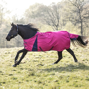 Couverture d'écurie imperméable en coton Ripstop pour chevaux noirs, sur mesure, haute qualité, pour dressage, légère, pour l'hiver et l'extérieur - Product Image 6