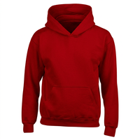 Sweat-shirts à capuche pour hommes, mode décontractée, streetwear hip-hop, sweat-shirt en molleton uni, 100% coton, hiver