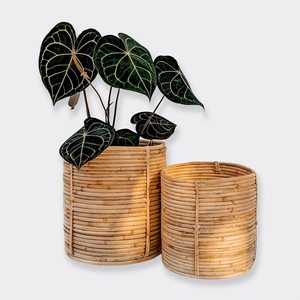 Garden decor <b>basket</b> cylinder rattan pot hot selling <b>plant</b> pots crafted by hand outdoor <b>plants</b> holder - Product Image 4