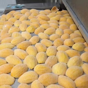 มะม่วงแช่แข็งจากเวียดนามชิ้นมะม่วงแช่แข็ง - Product Image 5