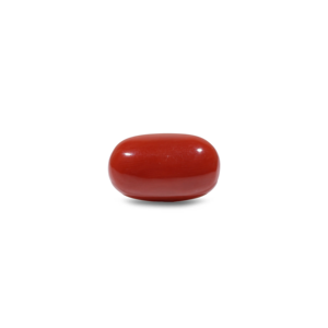 Natural Red Coral Oval Cabochon Loose Gemstone 12.7 Carat Certified Wholesale - Product Image 1