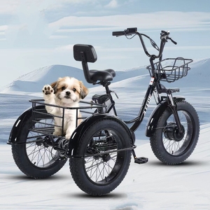 Tricycle électrique cargo à assistance au pédalage, pneus neige 20 pouces, batterie lithium 48V, moteur sans balais, frein à disque, 7 vitesses, cadre en acier, moyeu arrière - Product Image 5