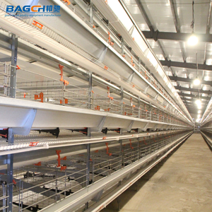 बड़े पैमाने पर पोल्ट्री फार्म के लिए वाणिज्यिक स्वचालित एच प्रकार परत चिकन पिंजरे नया - Product Image 4