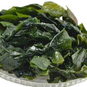 Algas marinas secas al por mayor <span class=keywords><strong>Gelidium</strong></span> algas secas kelp kont - Product Image 5