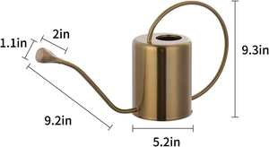 Arrosoir en acier inoxydable couleur or avec becs de pulvérisation amovibles, taille moyenne, pour l'arrosage des plantes d'intérieur et d'extérieur, des fleurs et des jardins - Product Image 6