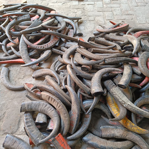 Piezas de Cuerno de Búfalo Natural Crudo, Material Ecológico para Artesanía, para Hacer Cuchillos, Joyería, Tallado, Manualidades, Suministro al por Mayor - Product Image 3