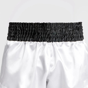 ชุดต่อสู้ MMA รุ่นใหม่สำหรับทุกเพศ คุณภาพสูง ระบายอากาศได้ดี แห้งเร็ว ผลิตจากผ้าสแปนเด็กซ์/โพลีเอสเตอร์ รับสกรีนโลโก้ กางเกงชกมวย/ศิลปะการต่อสู้ - Product Image 4