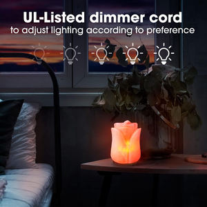 Lámpara de Sal Rosa del Himalaya Tallada a Mano con Forma de Flor, Precio de Fabricante, Luz Nocturna de Sal de Cristal para Decoración del Hogar - Product Image 4