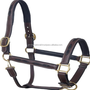 Licol de cheval en cuir anglais de qualité supérieure, tressé à la main, noir, marron, cuir véritable, tous les tailles - Product Image 2