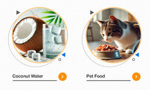 Offre Spéciale sur Alimentation Humide pour Animaux de Compagnie de Qualité Supérieure : Thon en Morceaux Entiers en Sauce pour Chat et Chaton, Origine Thaïlande - Product Image 6