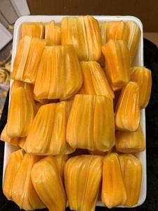 Fournisseur en gros de jackfruit sucré surgelé IQF de qualité supérieure - Product Image 5