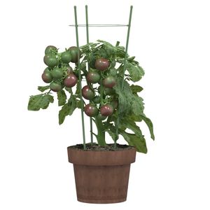 Ensemble de 5 supports de plantes vertes pour jardin, clôtures, treillis et portails - Product Image 3